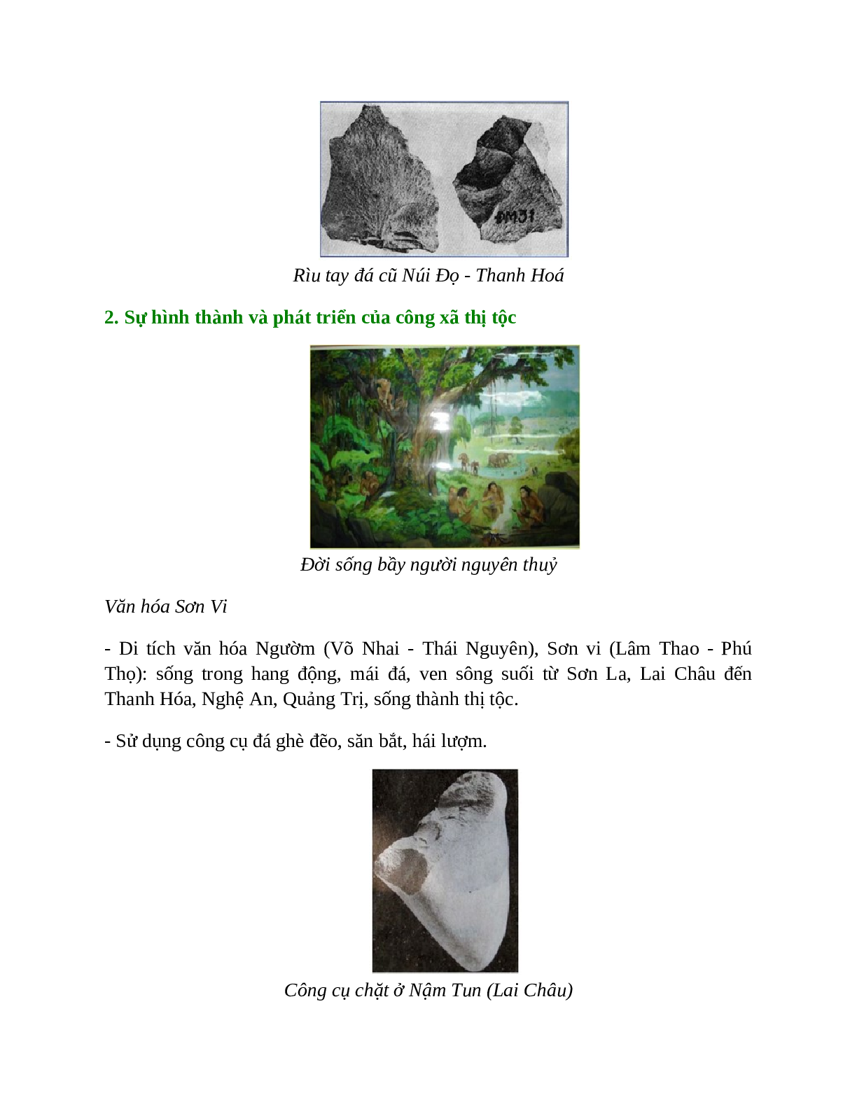 Lịch Sử 10 Bài 13 (Lý thuyết và trắc nghiệm): Việt Nam thời kì nguyên thủy (trang 2)