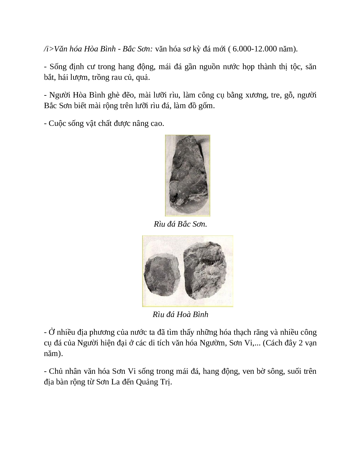 Lịch Sử 10 Bài 13 (Lý thuyết và trắc nghiệm): Việt Nam thời kì nguyên thủy (trang 3)