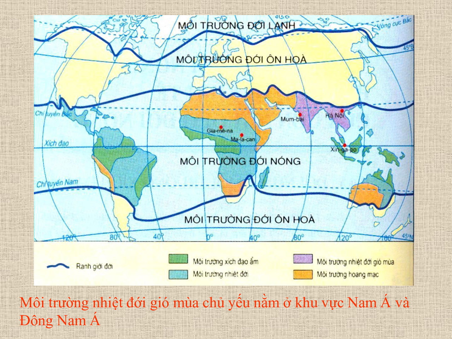 Bài giảng Địa lí 7 Tiết 7: Môi trường nhiệt đới gió mùa (trang 3)