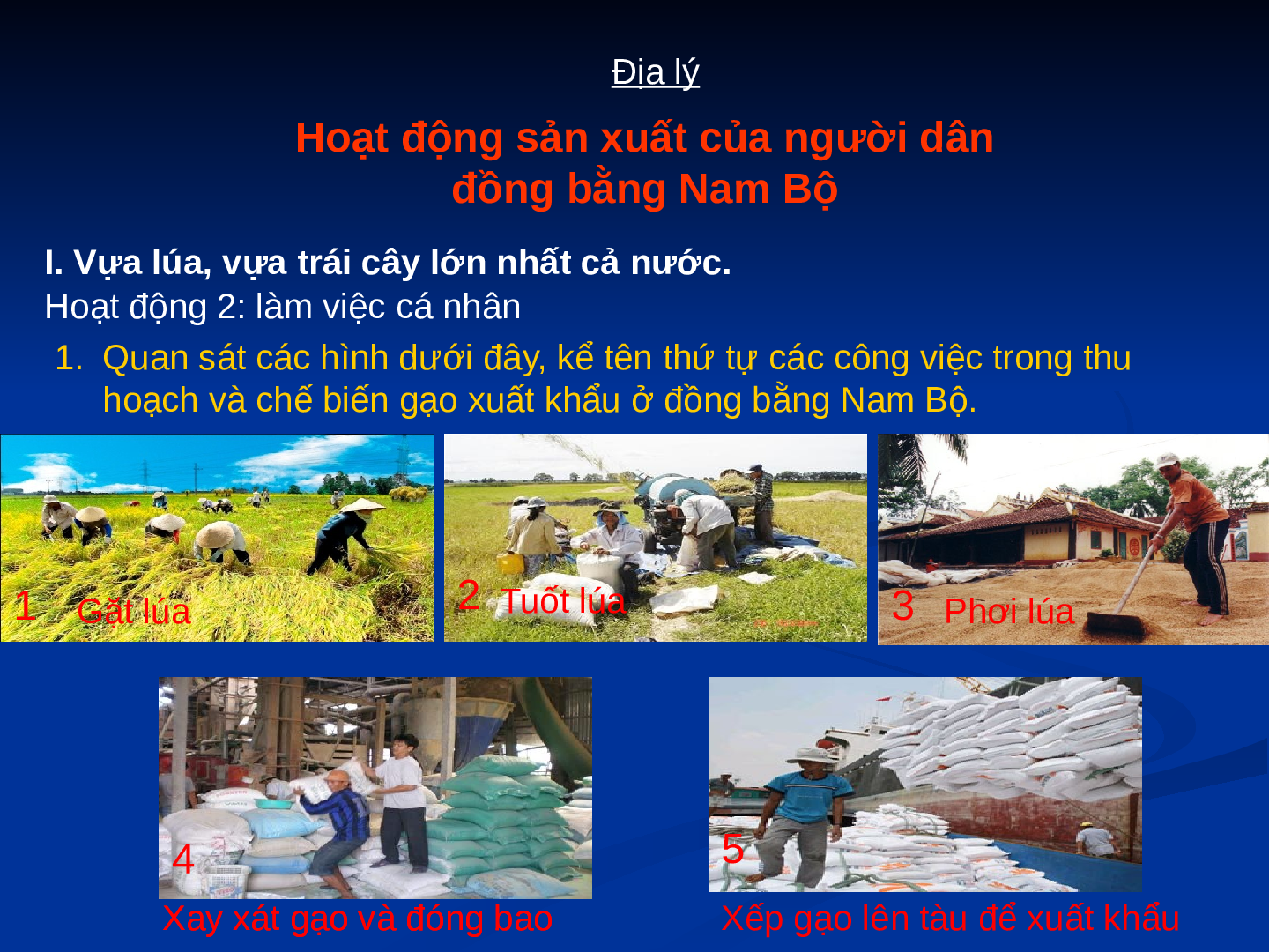 Giáo án Địa lý lớp 4 Bài 19: Hoạt động sản xuất của người dân ở Đồng bằng Nam Bộ (trang 4)