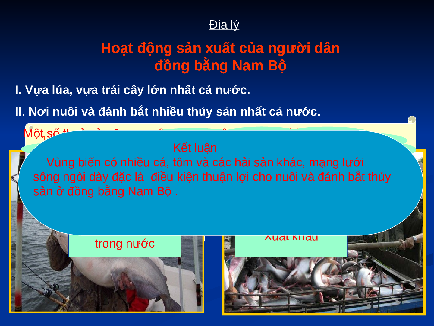 Giáo án Địa lý lớp 4 Bài 19: Hoạt động sản xuất của người dân ở Đồng bằng Nam Bộ (trang 7)