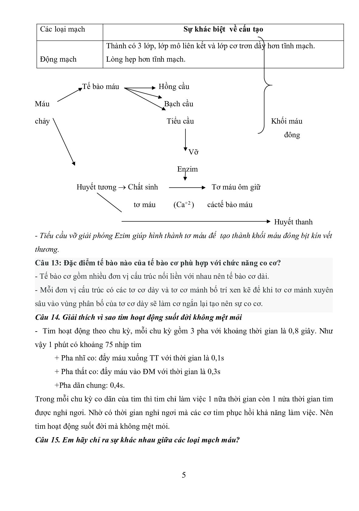 Đề cương ôn thi học kì 1 môn Sinh học 8 (trang 5)