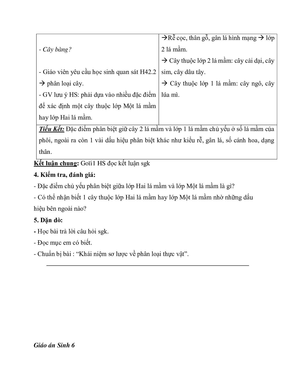 Giáo án Sinh học 6 Bài 42: Lớp Hai lá mầm và lớp Một lá mầm mới nhất - CV5512 (trang 3)
