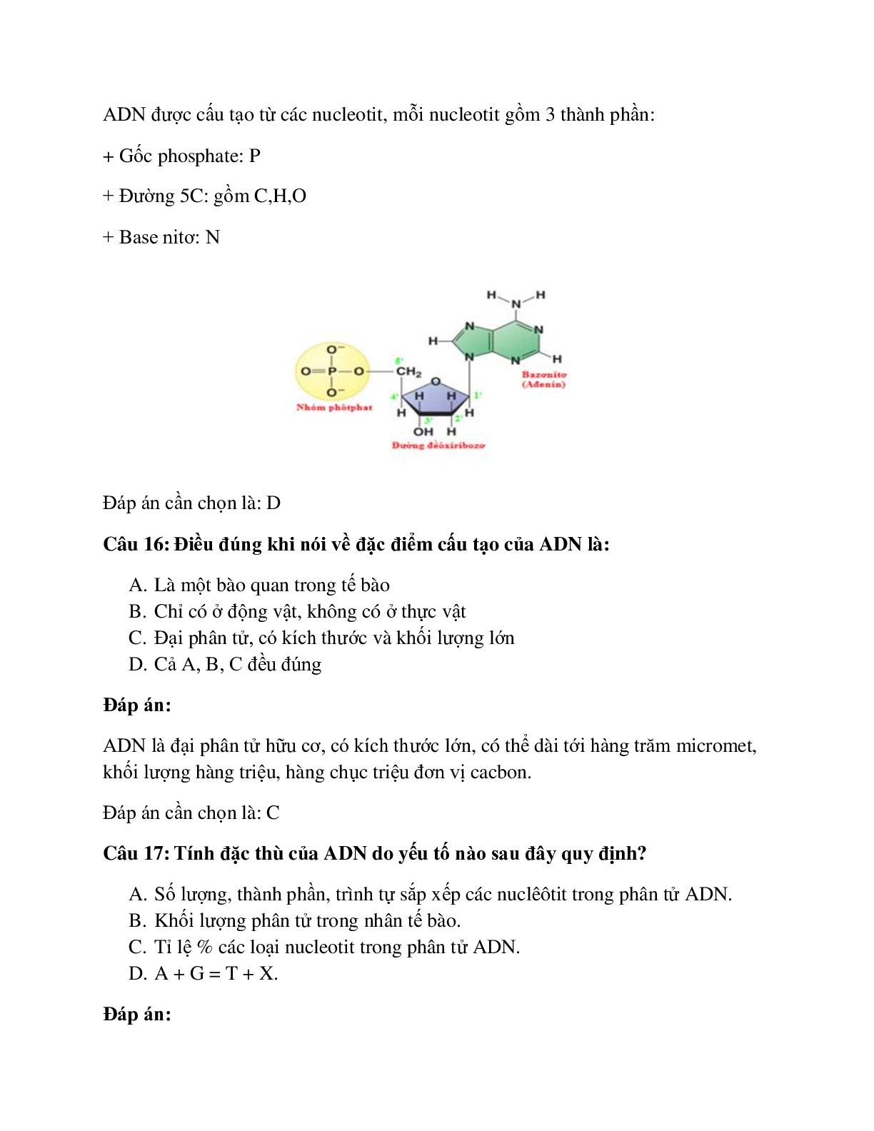 62 câu Trắc nghiệm Sinh học 9 Bài 15 có đáp án 2023: ADN (trang 6)