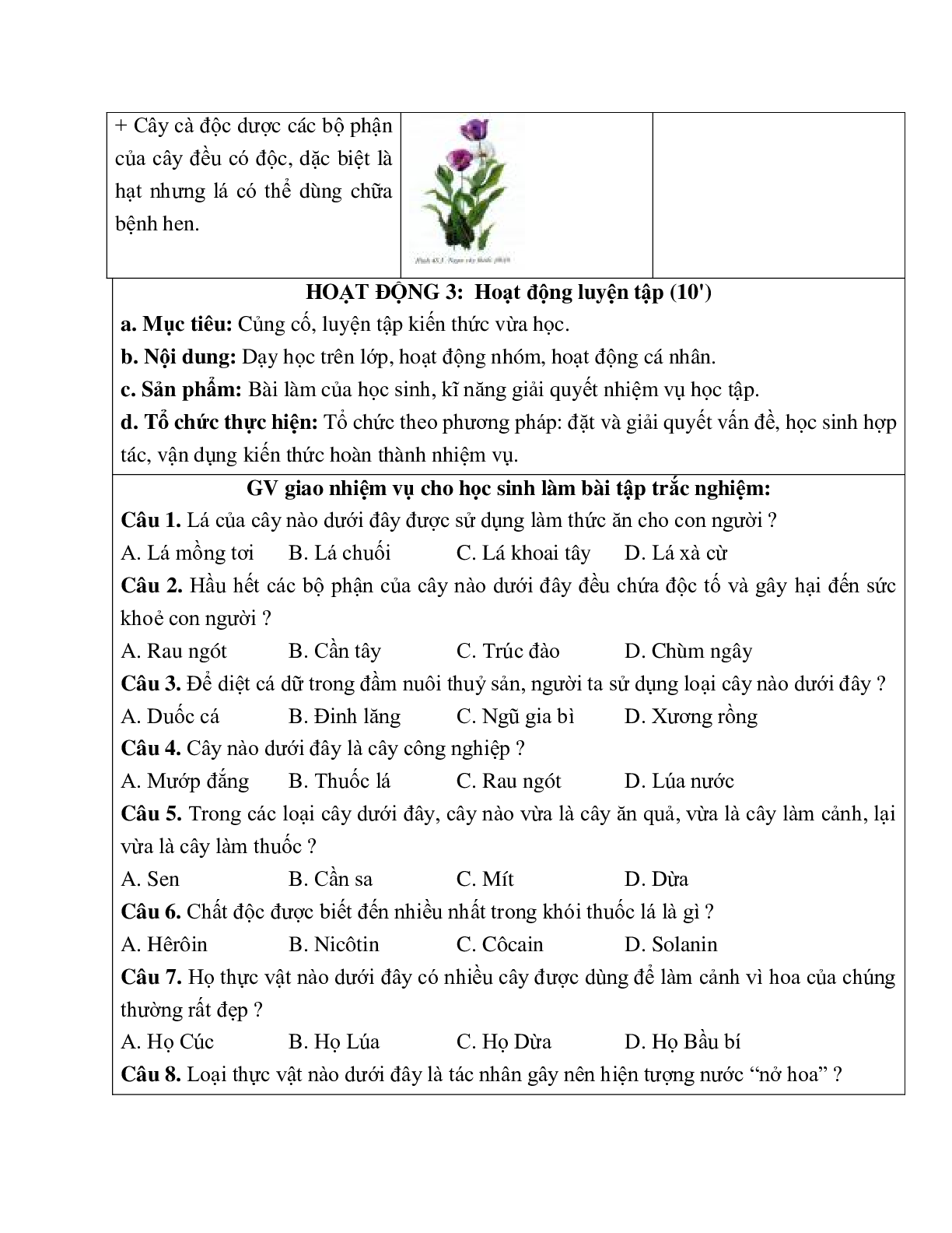 Giáo án Sinh học 6 Bài 48: Vai trò của thực vật đối với động vật và đối với đời sống con người mới nhất - CV5555 (trang 6)