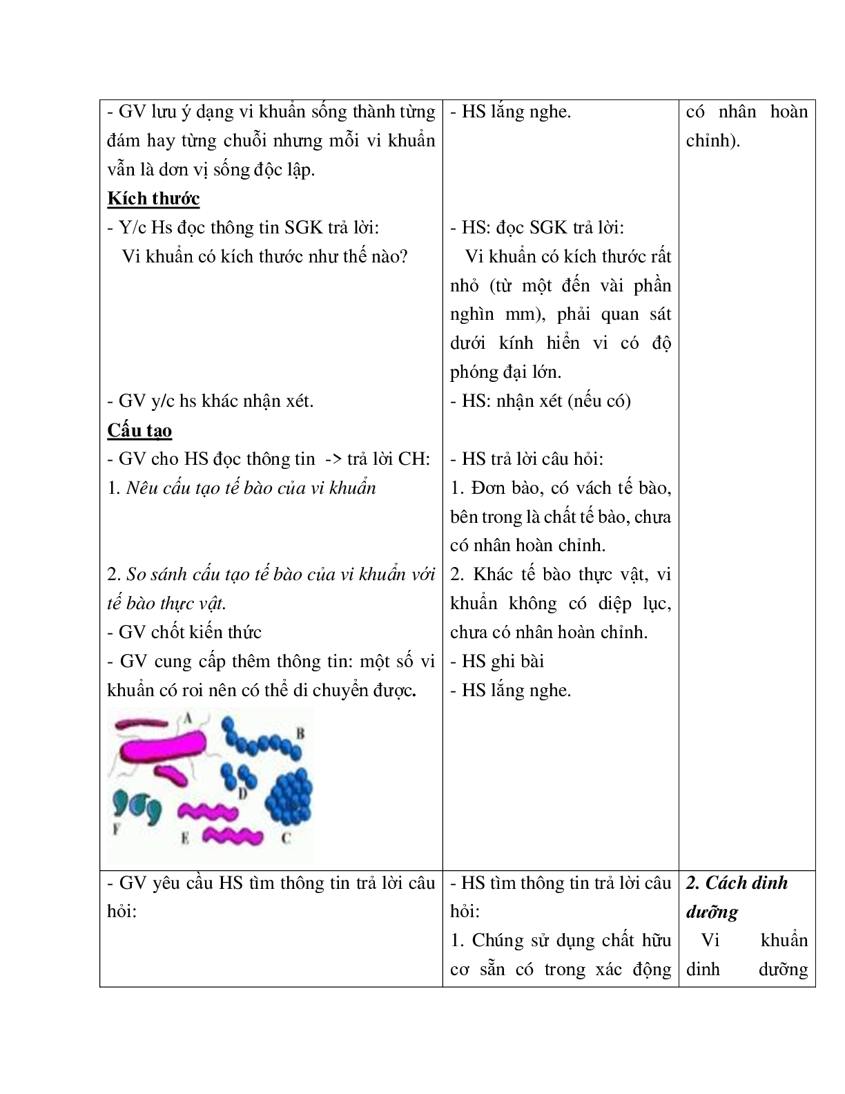 Giáo án Sinh học 6 Bài 50: Vi khuẩn mới nhất - CV5555 (trang 3)