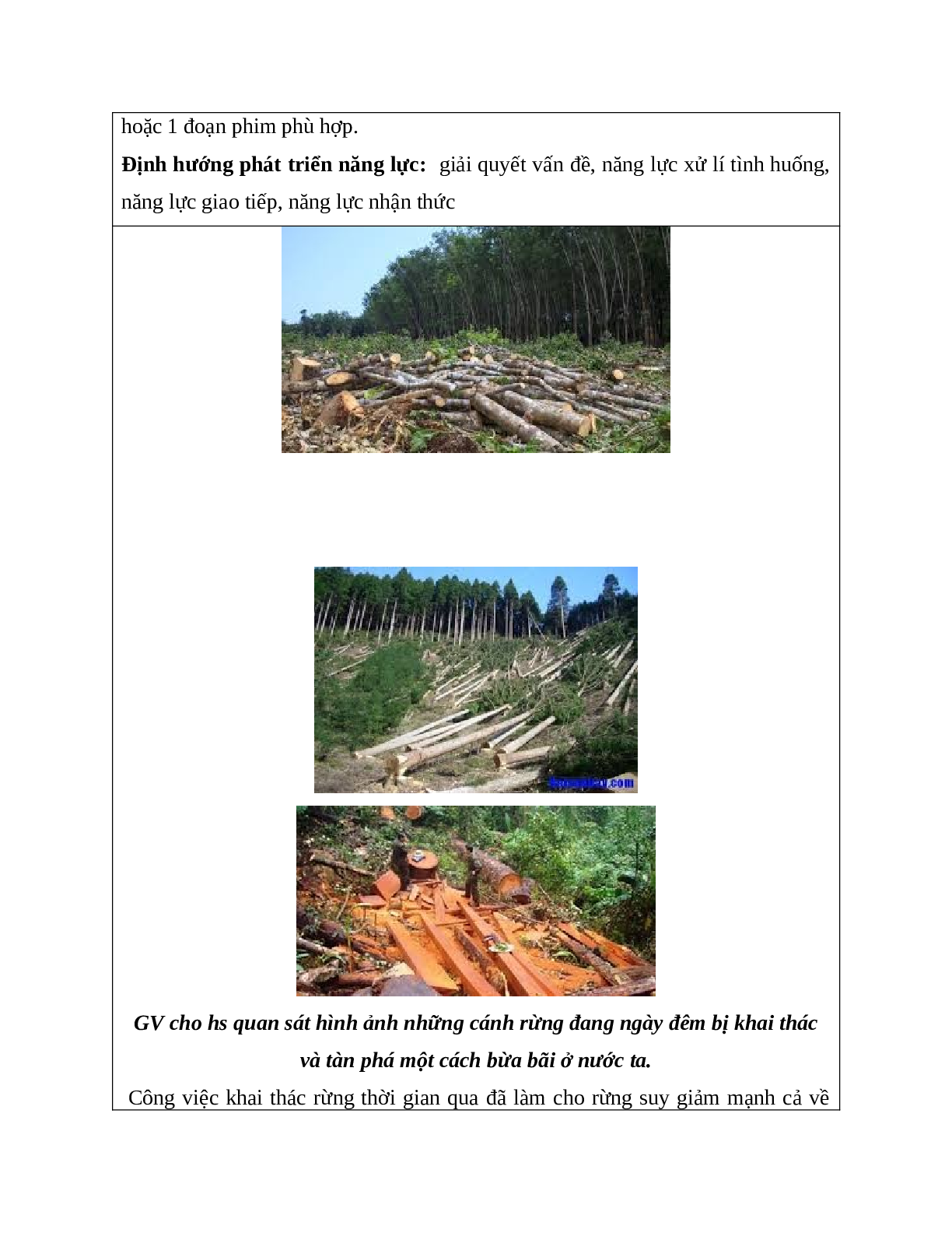 Giáo án Công Nghệ 7 Bài 28: Khai thác rừng mới nhất - CV5512 (trang 3)