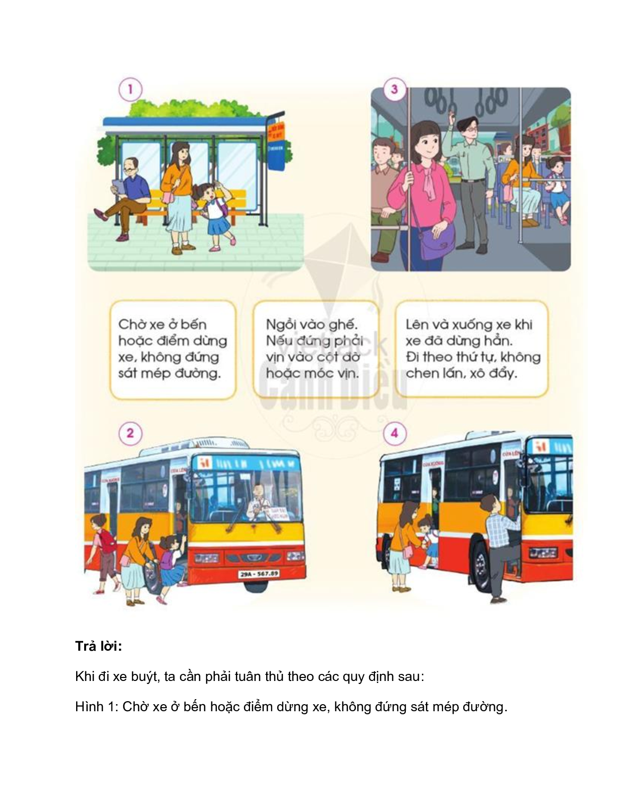 Giải SGK Tự nhiên và Xã hội lớp 2 trang 47, 48, 49, 50, 51 Bài 9: An toàn khi đi trên phương tiện giao thông – Cánh diều (trang 5)