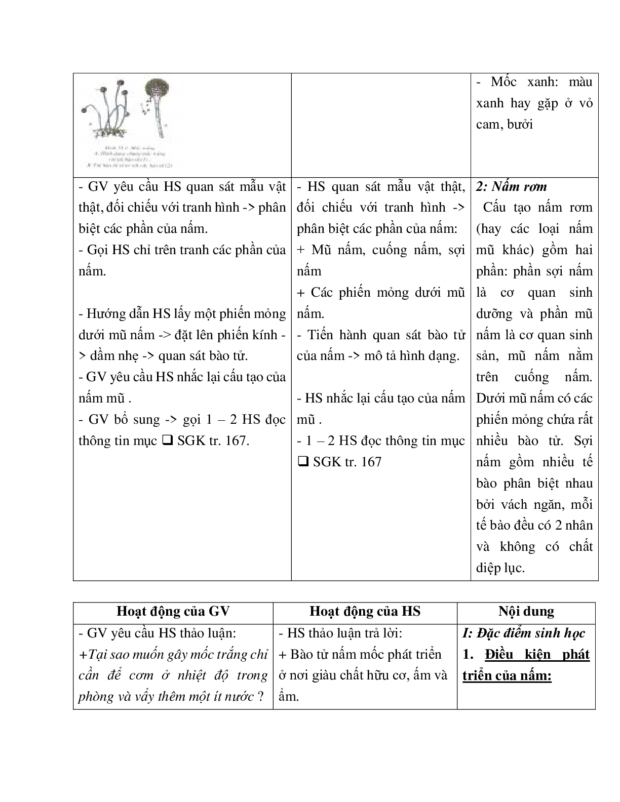 Giáo án Sinh học 6 Bài 51: Nấm mới nhất - CV5555 (trang 4)