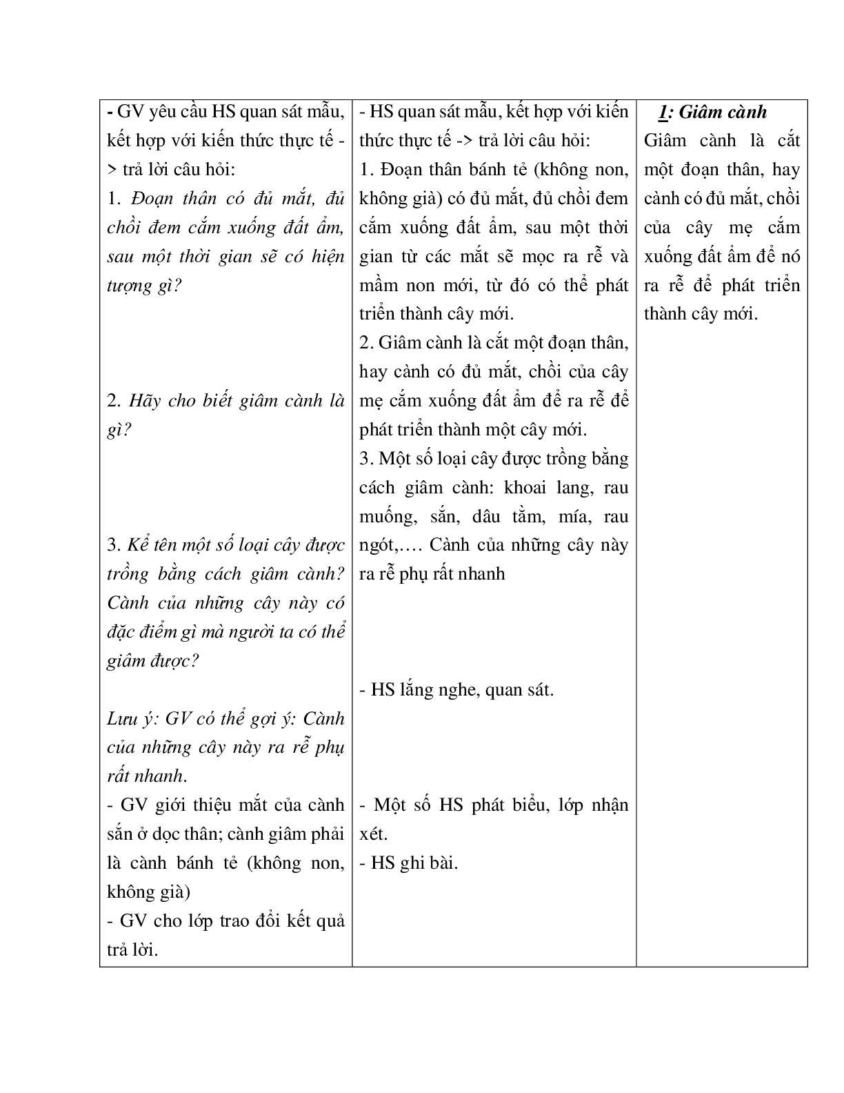 Giáo án Sinh học 6 Bài 27: Sinh sản sinh dưỡng do người mới nhất - CV5555 (trang 3)