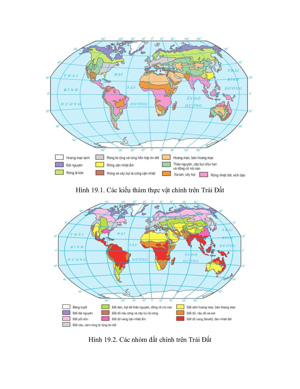 Địa Lí 10 Bài 19 (Lý thuyết và trắc nghiệm): Sự phân bố của sinh vật và đất trên Trái Đất (trang 2)
