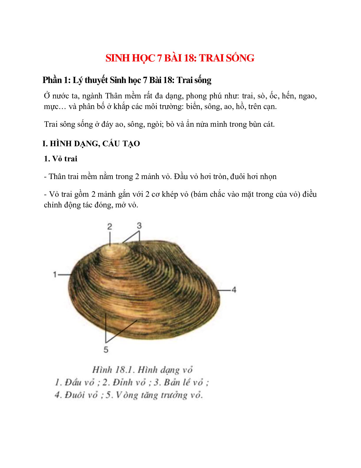 Sinh học 7 Bài 18 (Lý thuyết và trắc nghiệm): Trai sống (trang 1)