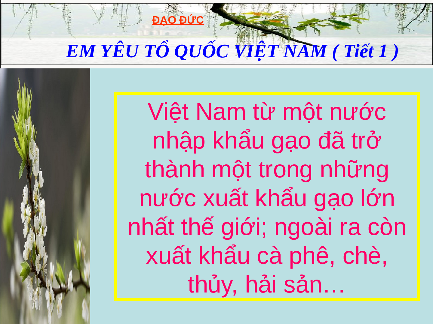 Giáo án đạo đức 5 Bài 11: Em yêu Tổ Quốc Việt Nam (trang 10)