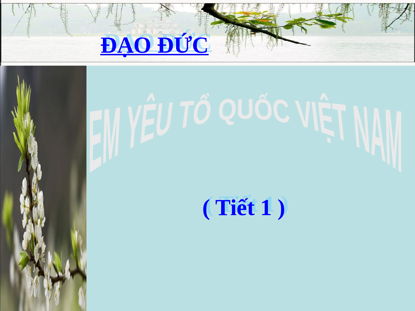 Giáo án đạo đức 5 Bài 11: Em yêu Tổ Quốc Việt Nam (trang 5)