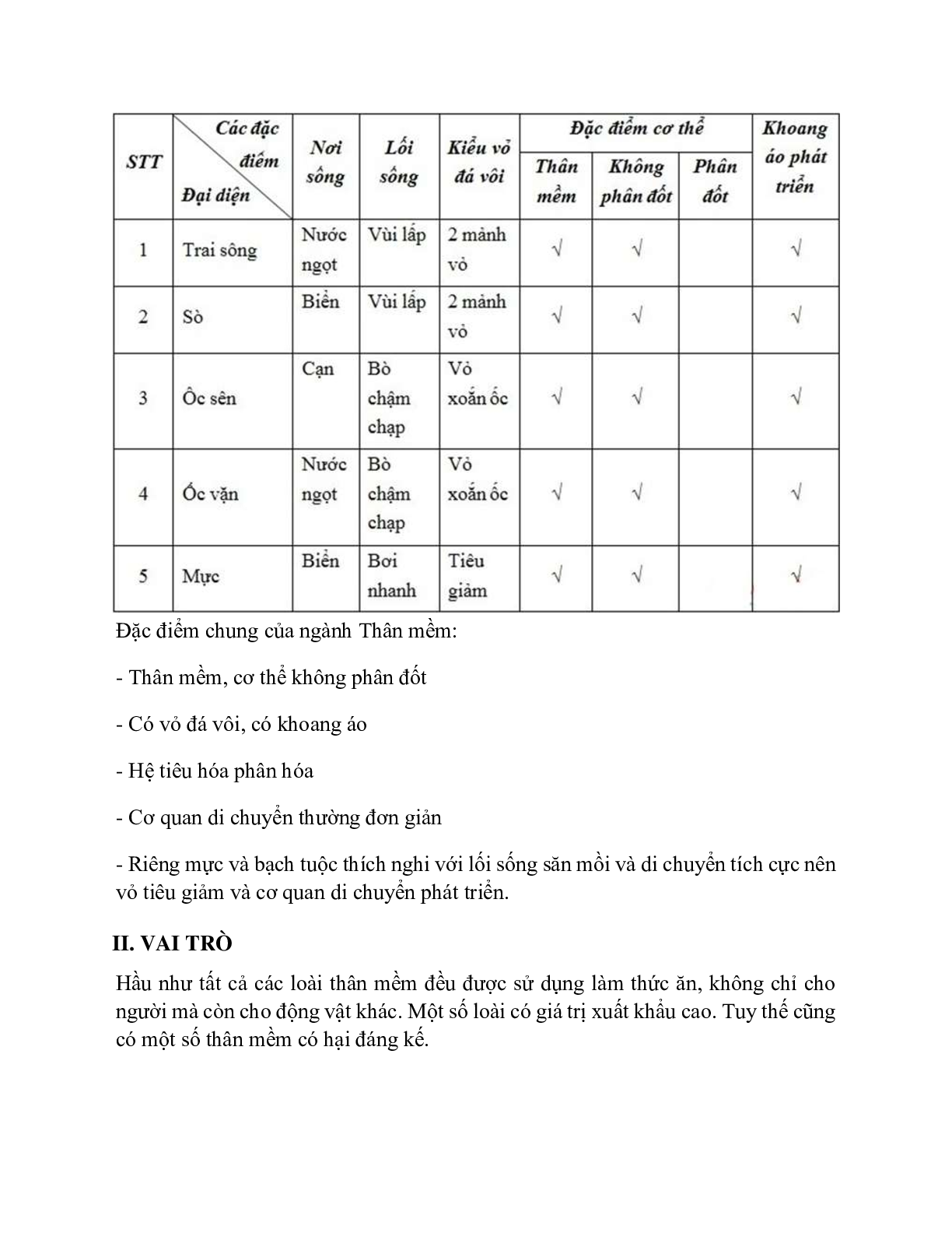 Sinh học 7 Bài 21 (Lý thuyết và trắc nghiệm): Đặc điểm chung và vai trò của ngành Thân mềm (trang 5)