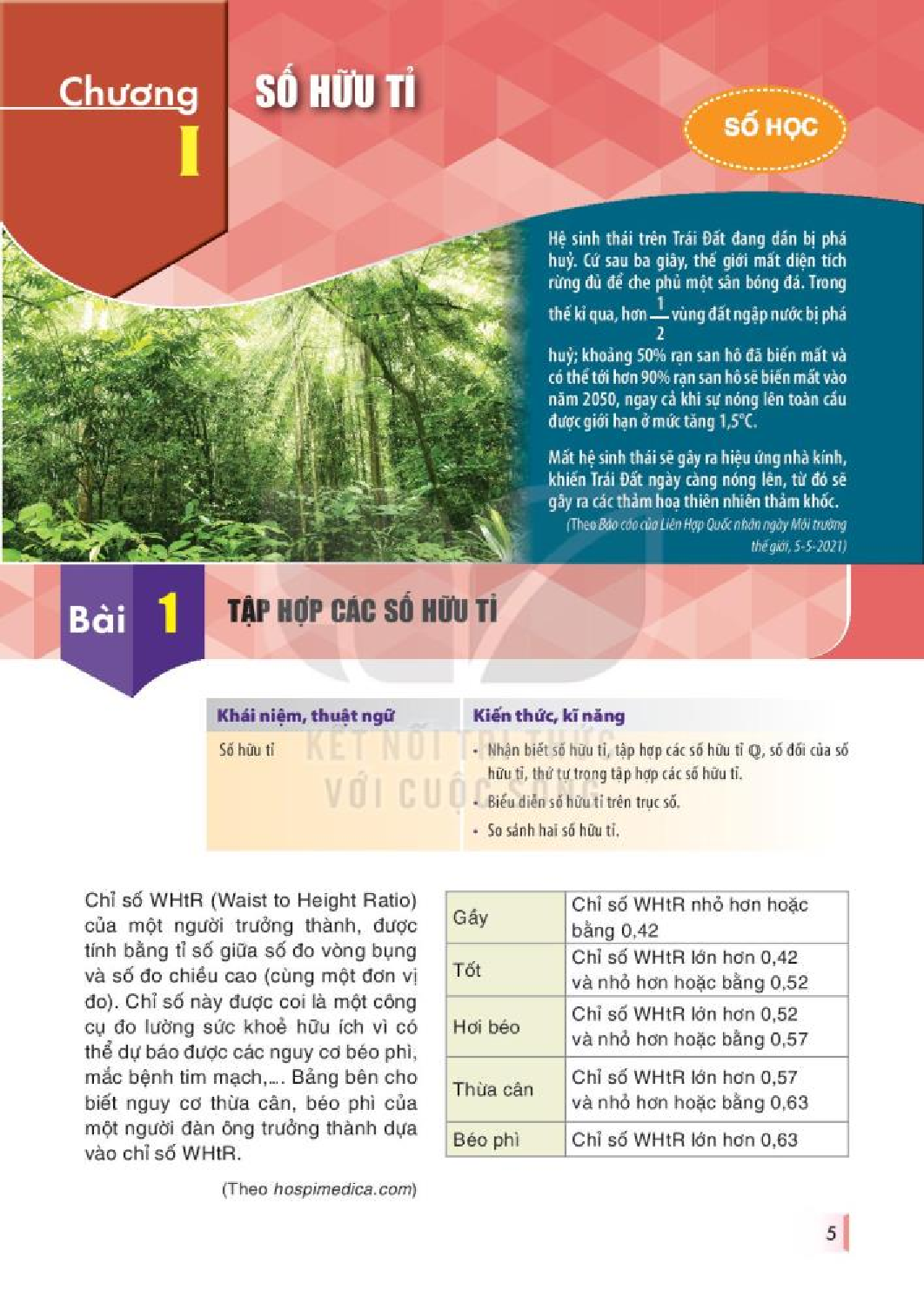 Toán lớp 7 tập 1 Kết nối tri thức pdf (trang 6)