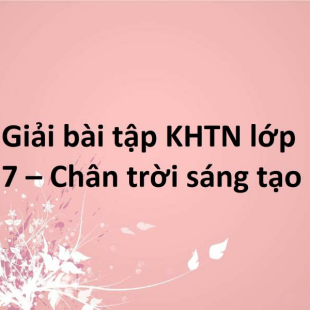 Giải SGK Khoa học tự nhiên 7 Bài 29 (Chân trời sáng tạo): Trao đổi nước và các dinh dưỡng ở thực vật