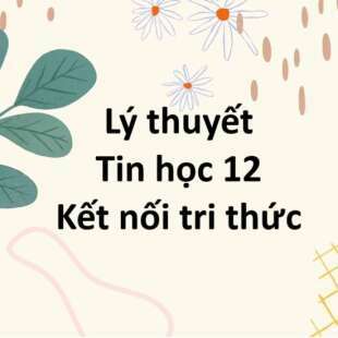 Lý thuyết Tin học 12 Bài 27 (Kết nối tri thức): Biểu mẫu trên trang web