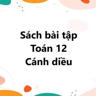 Sách bài tập Toán 12 (Cánh diều): Bài tập cuối chương 1