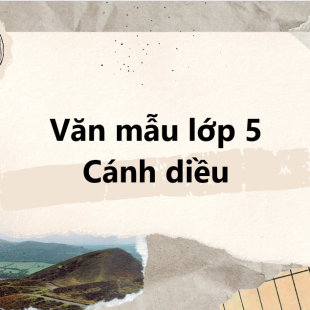 TOP 10 Đoạn văn ngắn tả cảnh nắng sớm lớp 5 (2025) SIÊU HAY