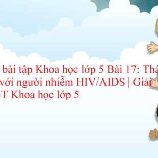 Vở bài tập Khoa học lớp 5 trang 33, 34, 35 Bài 17: Thái độ với người nhiễm HIV/AIDS | Giải VBT Khoa học lớp 5