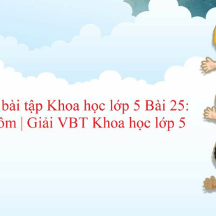 Vở bài tập Khoa học lớp 5 trang 47 Bài 25: Nhôm | Giải VBT Khoa học lớp 5