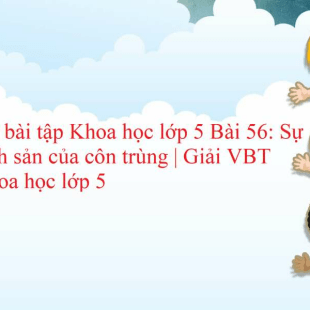 Vở bài tập Khoa học lớp 5 trang 95, 96 Bài 56: Sự sinh sản của côn trùng | Giải VBT Khoa học lớp 5