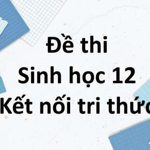 Bộ 10 đề thi học kì 1 Sinh học 12 Kết nối tri thức có đáp án năm 2024