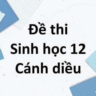 Đề cương ôn tập giữa kì 1 Sinh học 12 Cánh diều năm 2024