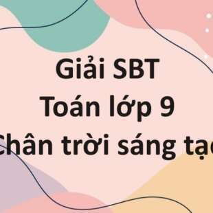 Sách bài tập Toán 9 (Chân trời sáng tạo): Bài tập cuối chương 4