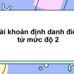 Tài khoản định danh điện tử mức độ 2 là gì? Cách đăng kí Tài khoản định danh điện tử mức 2