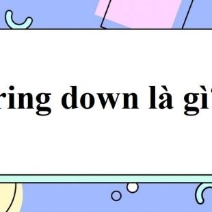 bring-down-l-g-c-ch-s-d-ng-bring-down-trong-ti-ng-anh