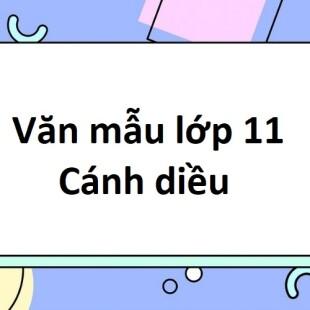 TOP 10 bài Suy nghĩ về mối quan hệ giữa cái đẹp và cái thiện, từ truyện Chữ người tử tù 2024 SIÊU HAY