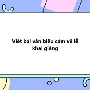 TOP 20 Viết bài văn biểu cảm về lễ khai giảng 2025 SIÊU HAY