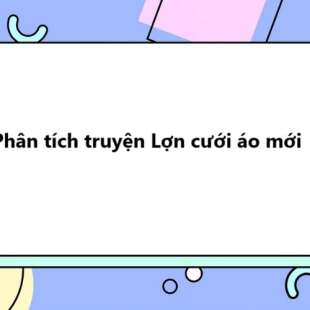 TOP 20 Phân tích truyện Lợn cưới áo mới 2025 SIÊU HAY