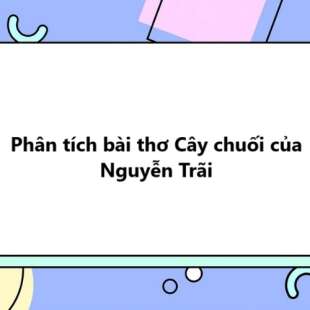 TOP 20 Phân tích bài thơ Cây chuối của Nguyễn Trãi 2025 SIÊU HAY