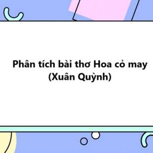 TOP 20 Phân tích bài thơ Hoa cỏ may (Xuân Quỳnh) 2025 SIÊU HAY