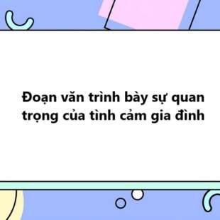 TOP 20 Đoạn văn trình bày sự quan trọng của tình cảm gia đình 2025 SIÊU HAY