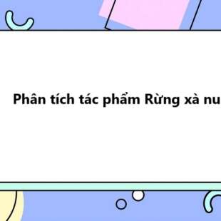 TOP 50 Phân tích tác phẩm Rừng xà nu 2025 SIÊU HAY