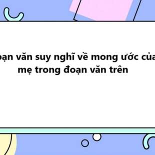 TOP 20 Đoạn văn suy nghĩ về mong ước của mẹ trong đoạn văn trên 2025 SIÊU HAY