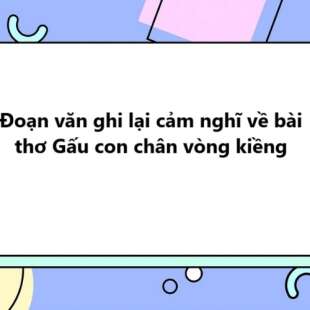 TOP 30 Đoạn văn ghi lại cảm nghĩ về bài thơ Gấu con chân vòng kiềng 2025 SIÊU HAY