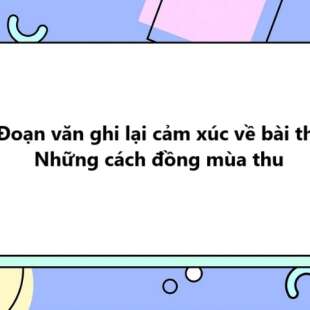 TOP 30 Đoạn văn ghi lại cảm xúc về bài thơ Những cách đồng mùa thu 2025 SIÊU HAY