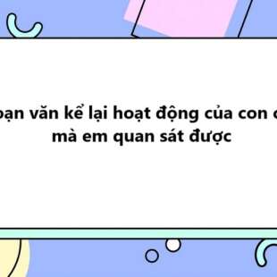 TOP 15 Đoạn văn kể lại hoạt động của con chó mà em quan sát được 2025 SIÊU HAY