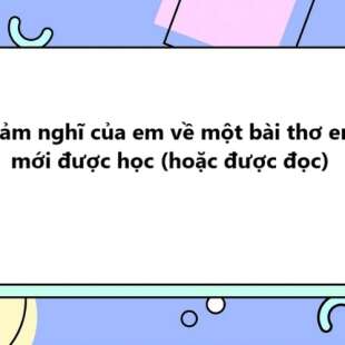 TOP 20 Cảm nghĩ của em về một bài thơ em mới được học (hoặc được đọc)