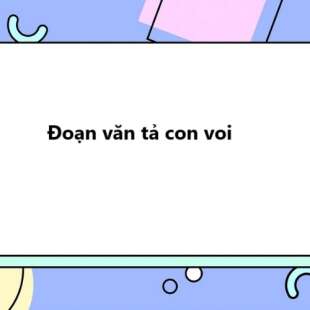 TOP 30 Đoạn văn tả con voi 2025 SIÊU HAY