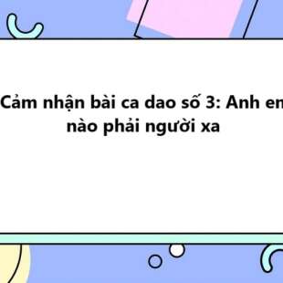 TOP 20 Cảm nhận bài ca dao số 3: Anh em nào phải người xa 2025 SIÊU HAY