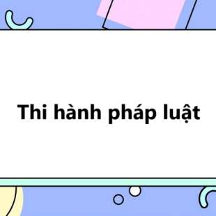 Thi hành pháp luật là gì? Phân việt thi hành pháp luật với tuân thủ pháp luật