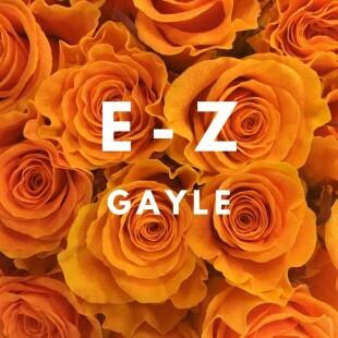 Lời bài hát E-z - Gayle