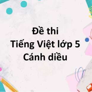 Bộ 10 đề thi học kì 1 Tiếng Việt lớp 5 Cánh diều có đáp án năm 2024