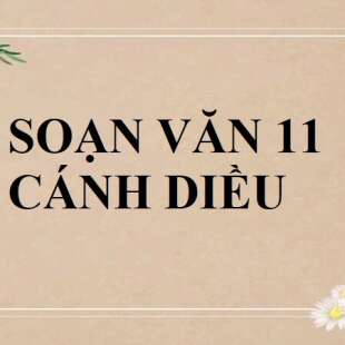 Ngữ văn lớp 11 trang 136 Tập 2 Cánh diều